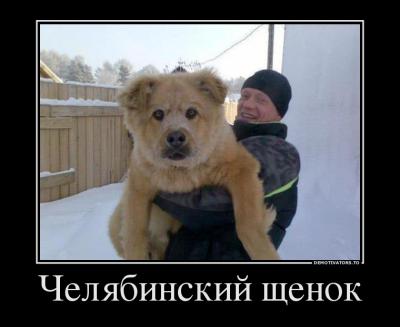 Прикрепленное изображение: 363456_chelyabinskij-schenok_demotivators_ru.jpg